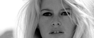 Im Kurzfilm „Paparazzi“ umschwärmen Fotografen den Filmstar Brigitte Bardot.